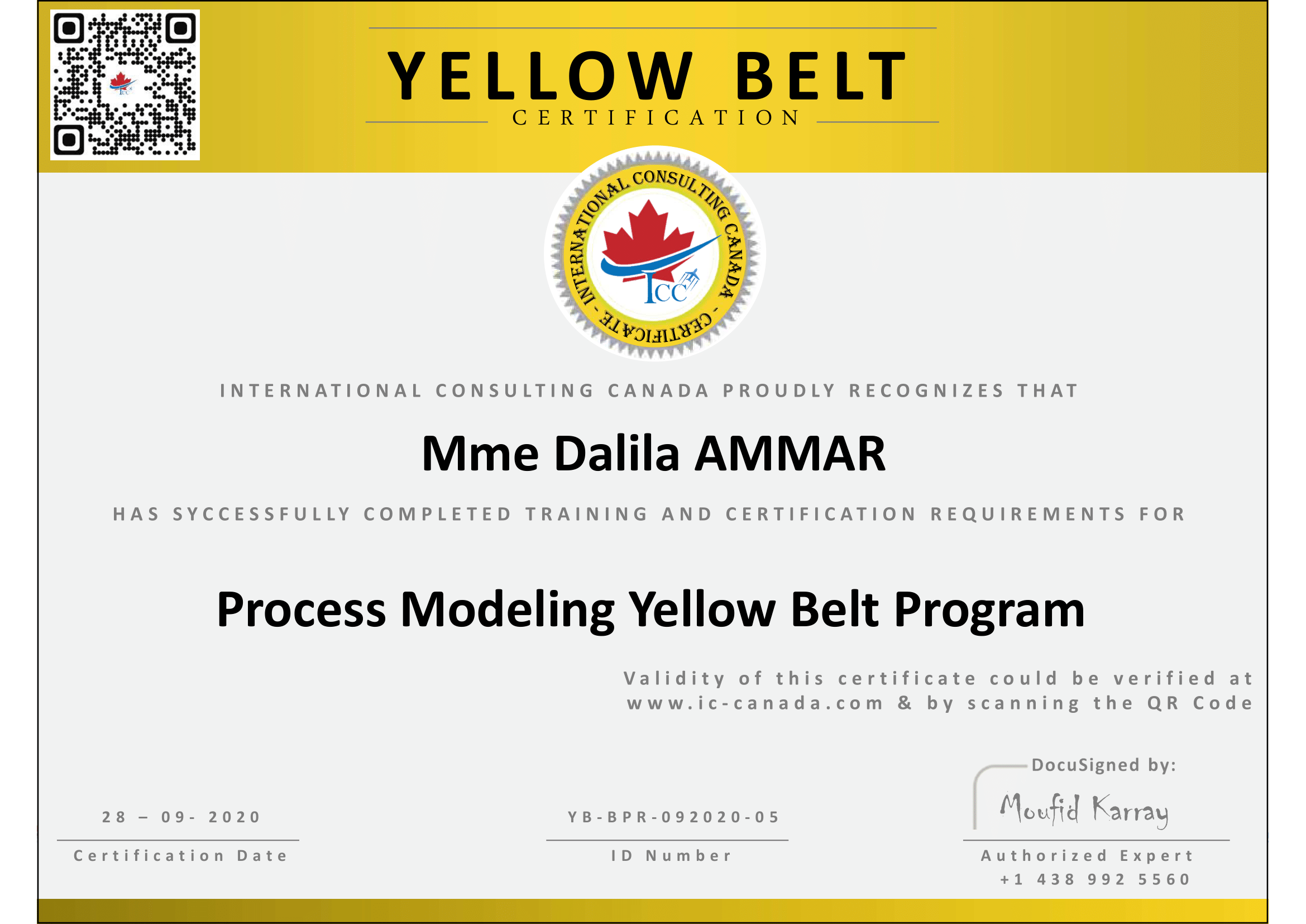 Certification Yellow Belt| International Consulting Canada